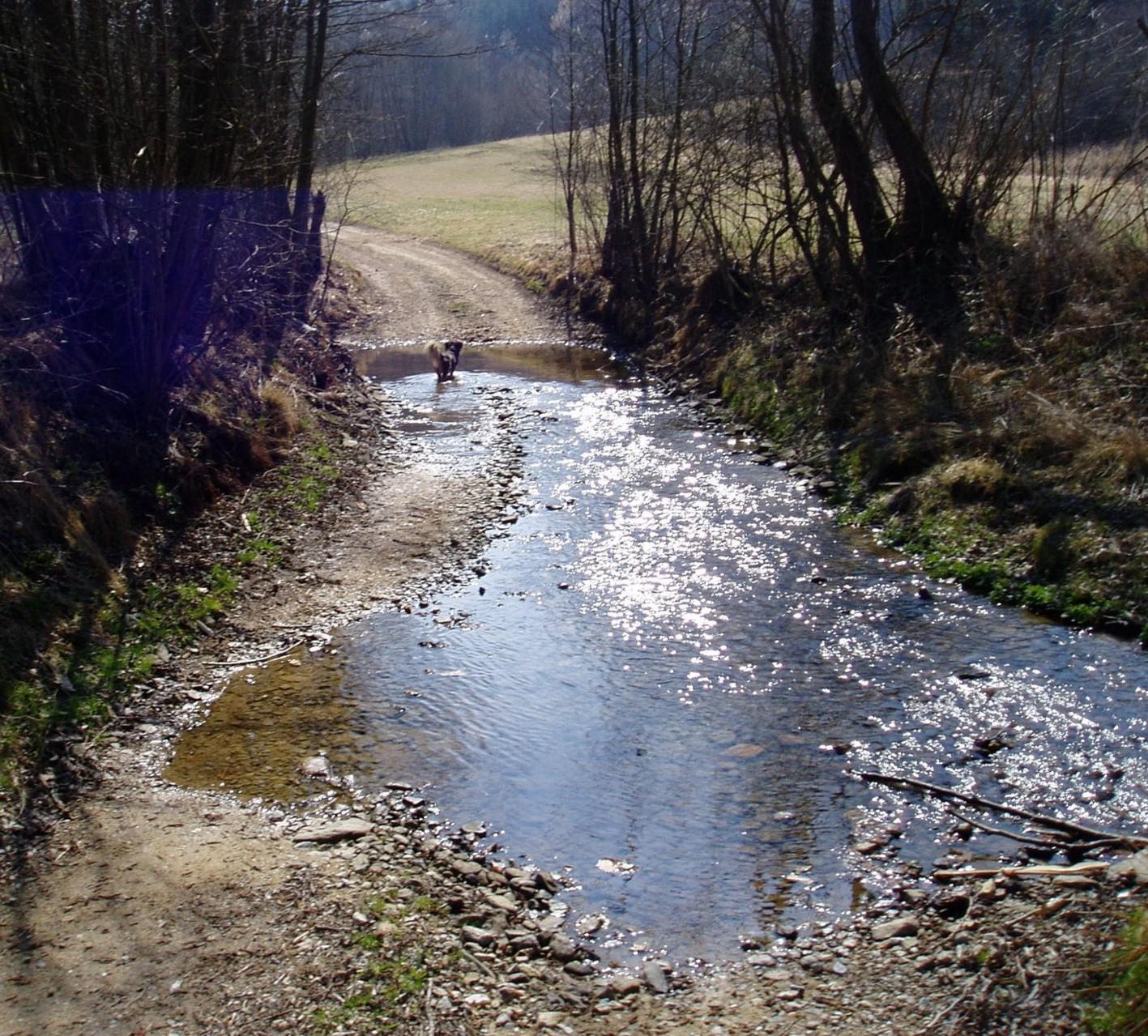 Traumwetter - Seite 9 C2dznj40x5htpj1xp