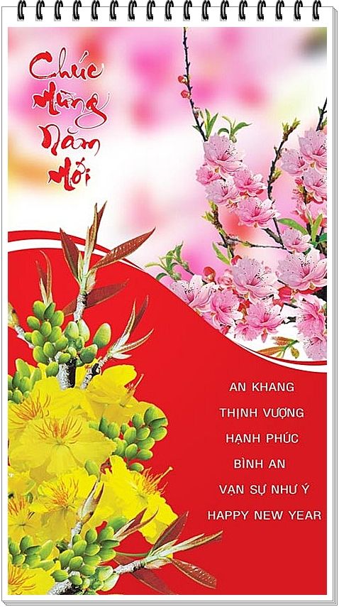 *_Bộ Sưu Tập Mẫu Thiệp Xuân 2013 Caumaiv8038rc462v