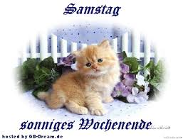 schönen Samstag Dxyiw7emvh8i82dc0