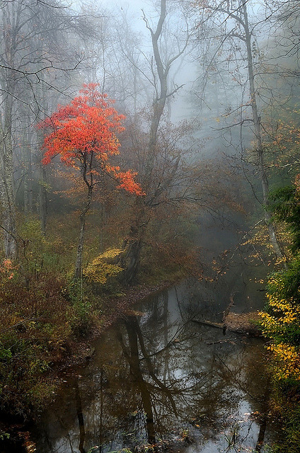 Čarolija običnog dana - Page 21 Tumblr_nkaj7gqTTz1t5g5c1o1_500