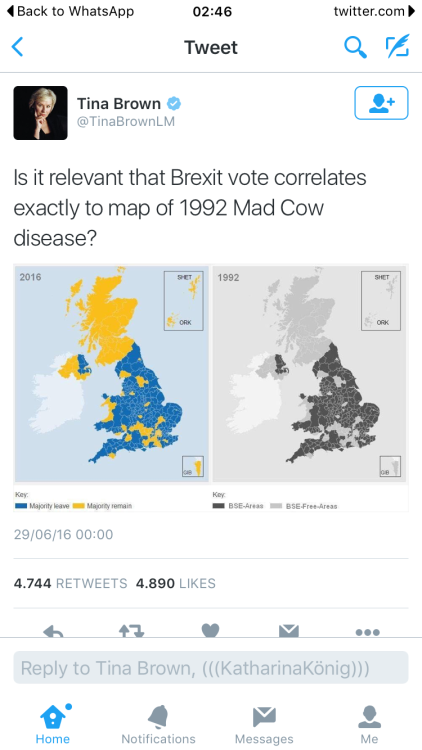 QUE OPINAIS DEL BREXIT? Me piro a Londres (bye bye Oslo) - Página 19 Tumblr_o9m26sFKSS1tnb2tno1_500