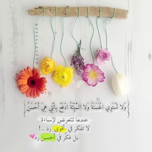 نصيحة في صورة  - صفحة 3 Tumblr_nymp77umXw1sddzreo1_500