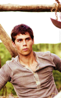 Dylan O'Brien Tumblr_novb6kdXqZ1s2y5bao3_250