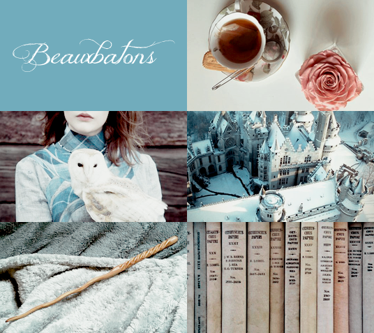 Les aesthetics d'Amy Tumblr_ok9d68AY7p1s4fblho1_540