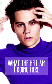 Dylan O'Brien Tumblr_nra0bpdWhu1s2y5bao3_250