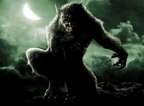 Lycanthrope  (Loup-Garou) 3052183249_2_3_gGlxu7b2