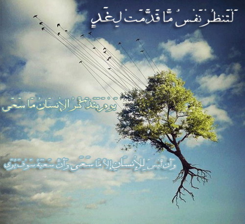 آزل الملاذ - صفحة 44 Tumblr_nw91x0S89l1sp6750o1_500