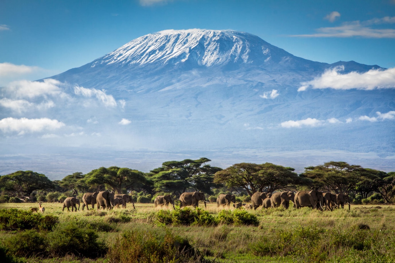 14 AĞUSTOS 2016 BULMACASI SAYI : 1586 - Sayfa 2 Kilimanjaro_heading