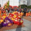 香港龍獅節 Hong Kong Lion Dragon Festival - 頁 2 JIefOT7T