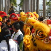 香港龍獅節 Hong Kong Lion Dragon Festival - 頁 2 7XSwTshI