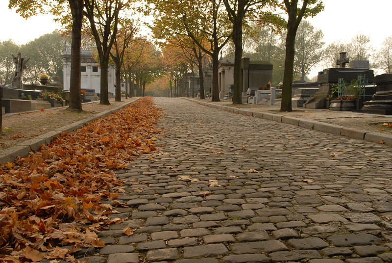 le père lachaise en automne 206855798-L