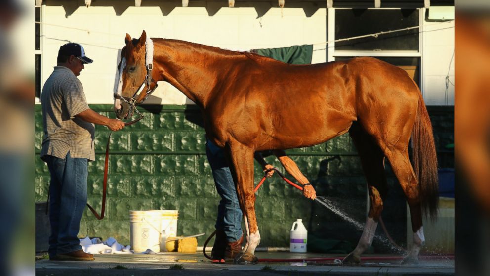 CALIFORNIA CHROME A ASCOT. - Página 2 Gty_california_chrome_belmont_jc_140603_16x9_992