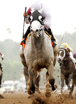 Route du Kentucky Derby/Kentucky oaks 2015 ShamStakes_250_150110