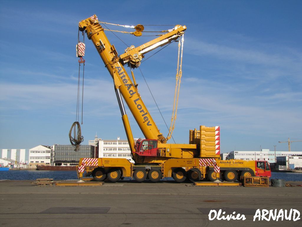 Les grues de LORLEV (Groupe Alté Ad) (France) - Page 3 Img3560vr