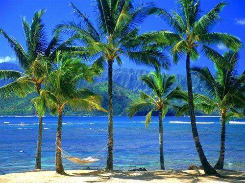 Hawaii: Thiên đường du lịch Dulich216201018