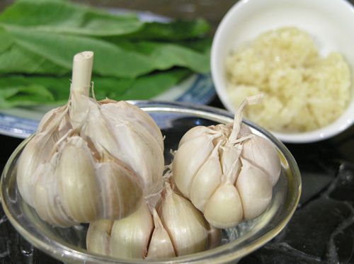 Tip  selection and processing of  garlic 6f7toi3