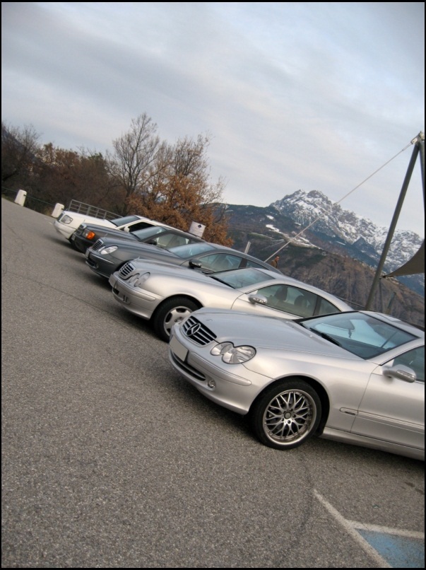 Rasso des Alpes 6 Nov- Toute 1ere Photo IMG_6129%20(Copier)