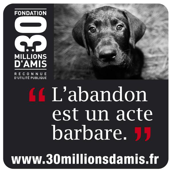 Ici les chiens de 100 toits NEW 20 Septembre 2013 2866932222_1