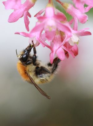 lacher prise - Et si nous partagions des photos que nous avons prises, qui nous tiennent à cœur, que nous apprécions, dignes d'une collection AB_blog