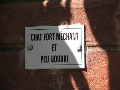 Images Comiques - Page 6 Sentier-chat-mechant