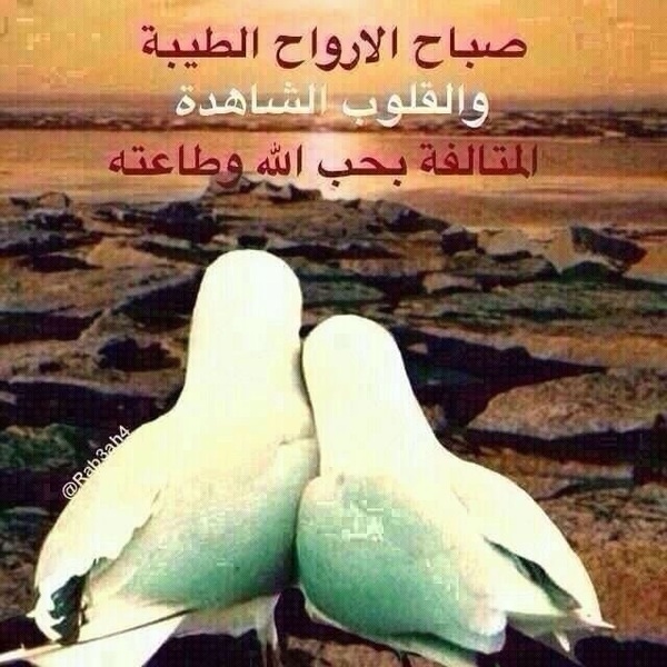 صباحيات //مسائيات معطره بوجودكم؟ - صفحة 15 Ad6f4c7c775e4da2f9bb1f99958681ce_view