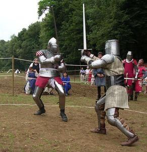 Mon chien n'est pas dangereux, faut juste se mefier du maître. - Page 3 Tournoi-medieval-des-chevaliers-du-moyen-age-au-chateau-de-filain-6