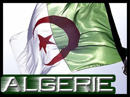 m3ak ya l'khedra m3a dzayer :) Drapeau-algerien-algerie