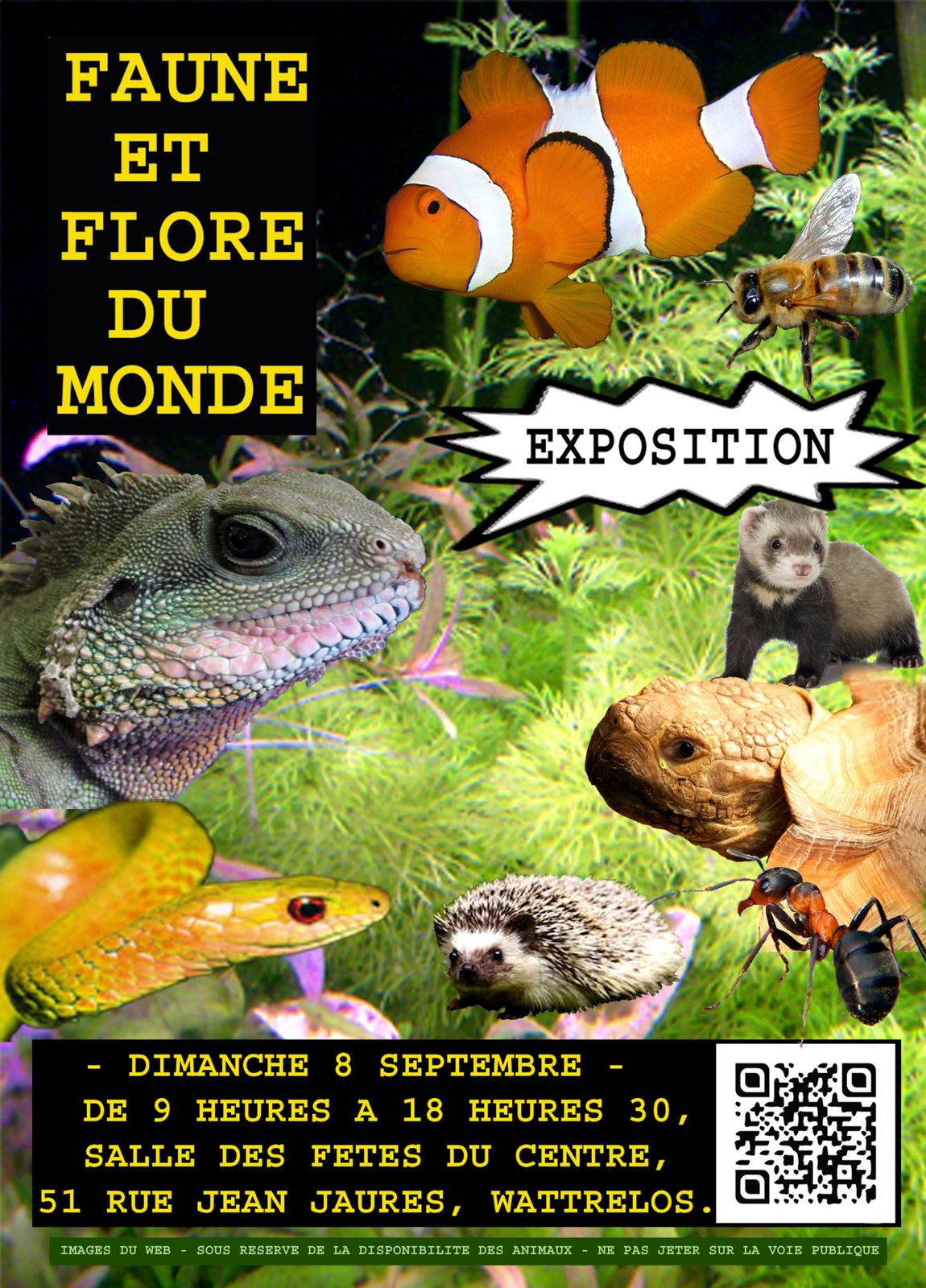 EXPO - Wattrelos - Dimanche 8 septembre 2013 2013-FLYER-et-AFFICHE-copie