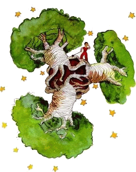 Le Petit Prince d'Antoine de St Exupéry Pt-prince-baobab