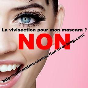 LISTE DES PRODUITS PRATIQUANTS LA VIVISECTION Mascara-