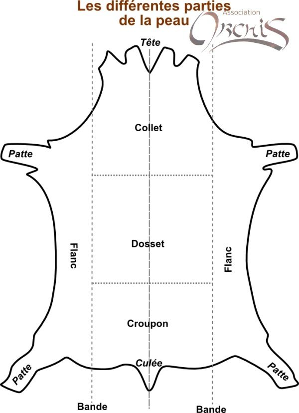 Vass (PAP - MTO - MESURE etc) - Page 3 Parties-peau