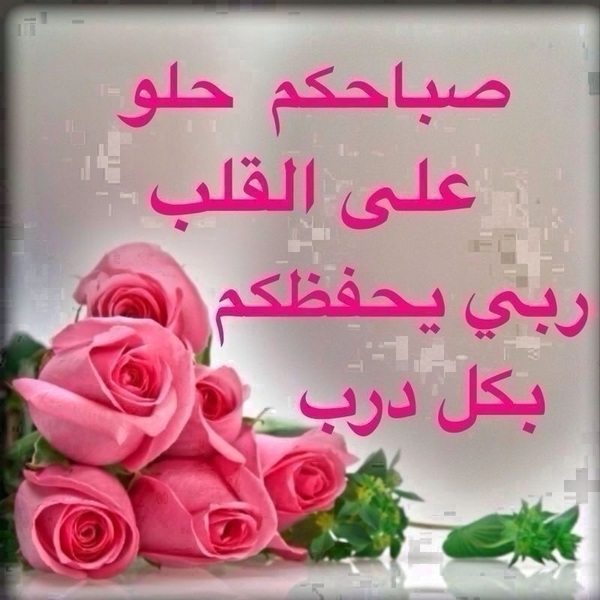 صباحكم ورد وفل - صفحة 3 A3f73c0f8e6d518c1fac47eebbb21e62_view