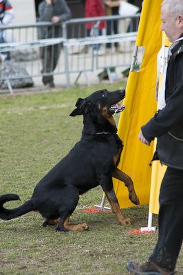 4ème sélectif 20100227-_DSC3915