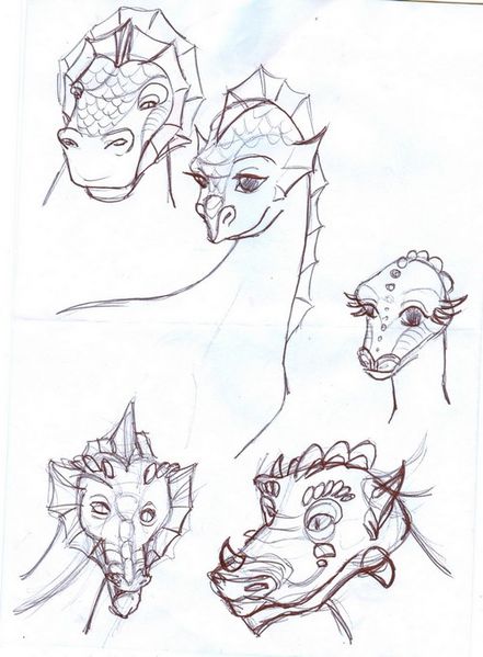 Croquis et dessins de dragons Dragon3