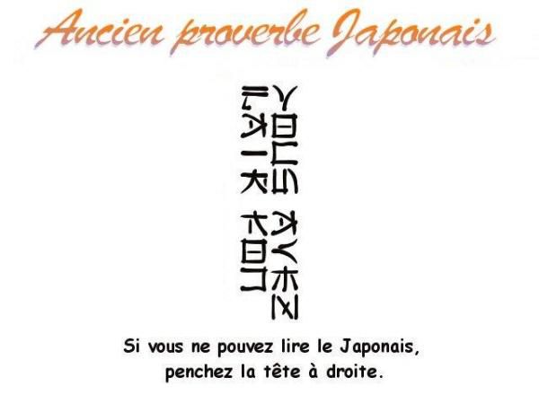 [Discussion] Images Surprenantes - Page 2 Humour---proverbe-japonais