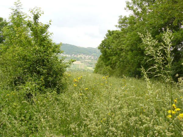 Le Lac des Amoureux Ballade-pascal-10296