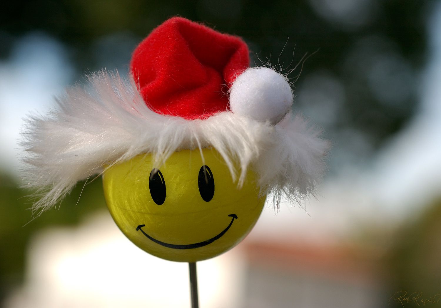 Sans visage d'aviateur Xmas_Smiley_7088