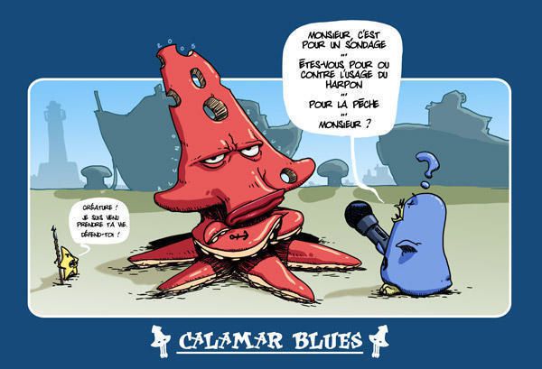 Animation AC / Joueurs Calamars2