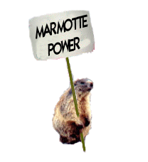 Bon anniv marmotte Gifs1-marmotte-power