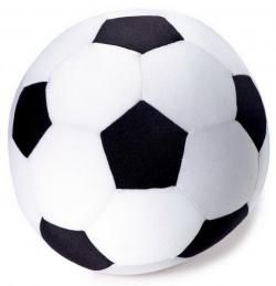 Footopic : Le topic des footeux ! Ballon-de-football1
