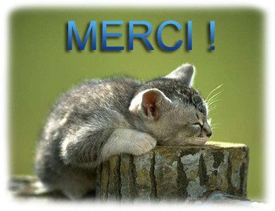 هل الصور حقيقية أو وهمية؟ Merci-copie-1