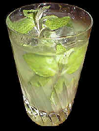 carte du bar Mojito