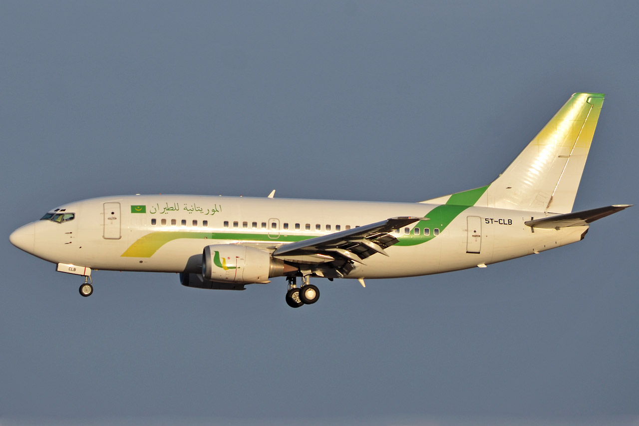 Spotting Canaries: Gran Canaria, La Palma & La Gomera 5t-clb_1280eujco