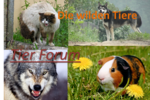 Unsere Partnerschaftsanfrage (Nch in Arbeit) Banner_header_mariell3vj9g