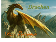 Wild Dragons Banner_mywilddrfagonswhj4i