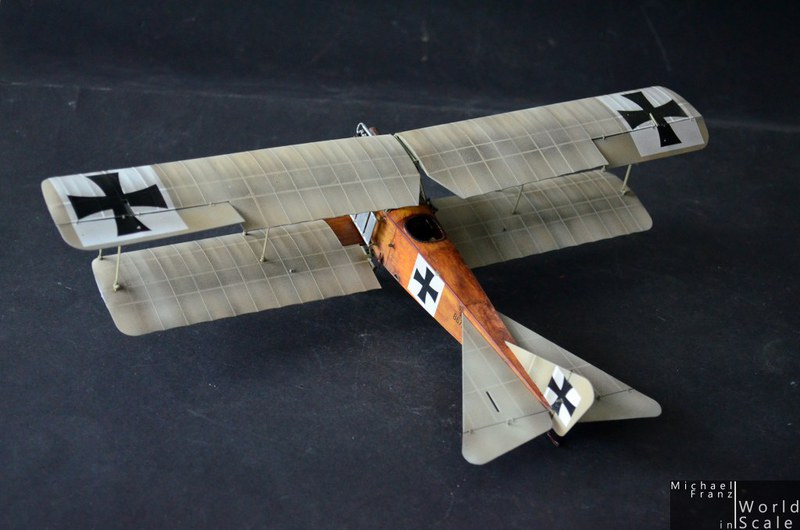 Albatros B.II (early) - 1/32 by Wingnut Wings Dsc_9817_1024x678bvzsd