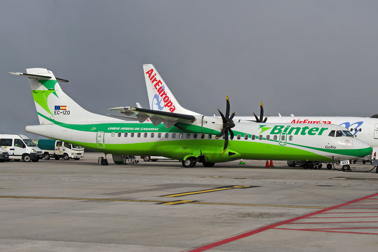 Spotting Canaries: Tenerife Sur & Tenerife Norte Ec-izo_12802hno16