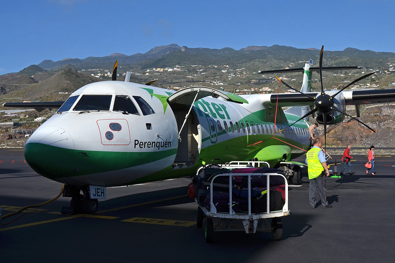 Spotting Canaries: Gran Canaria, La Palma & La Gomera Ec-jeh_12804yrvn