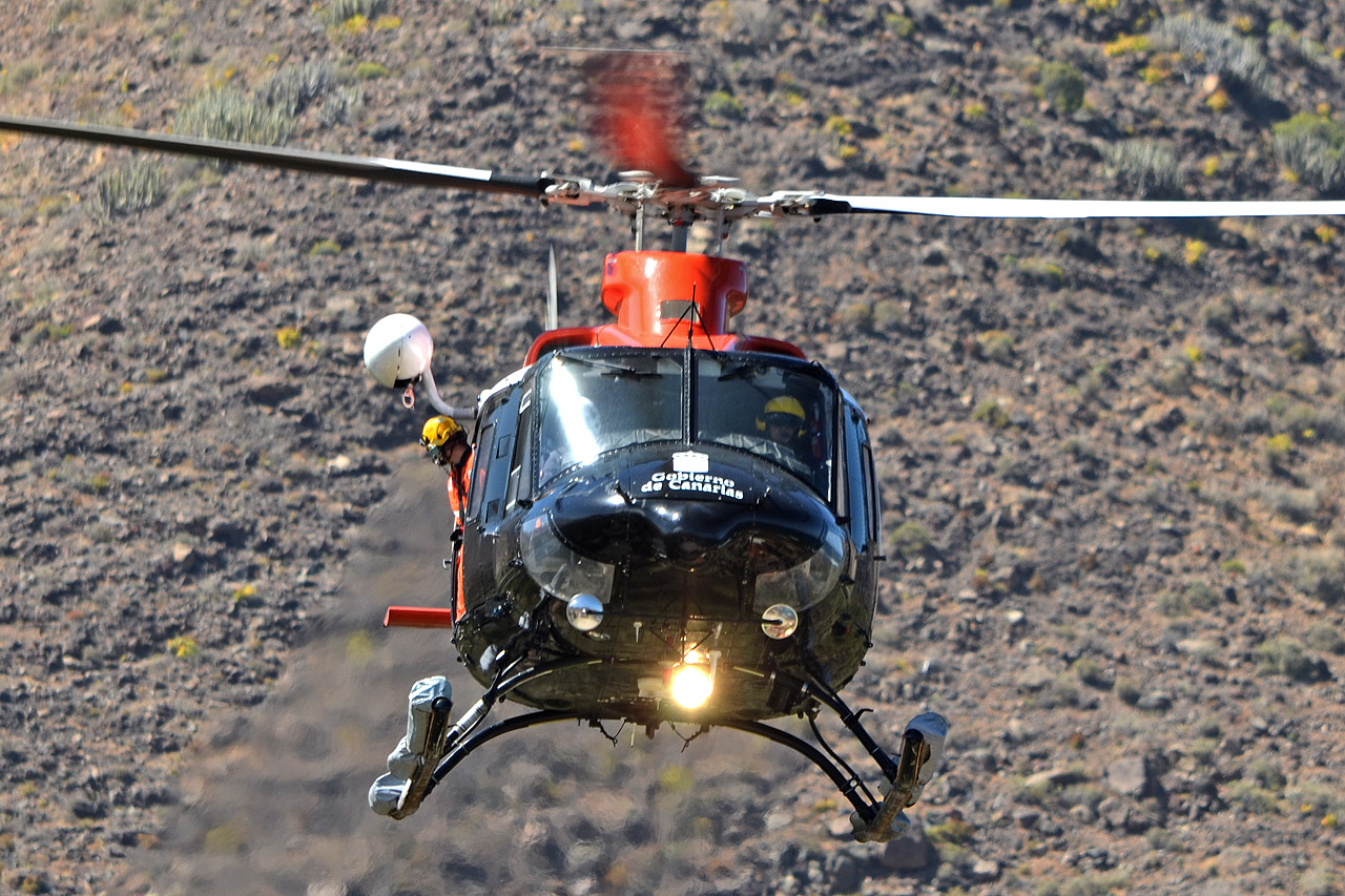 Spotting Canaries: Gran Canaria, La Palma & La Gomera Ec-jfq_headon_1280ugrdr