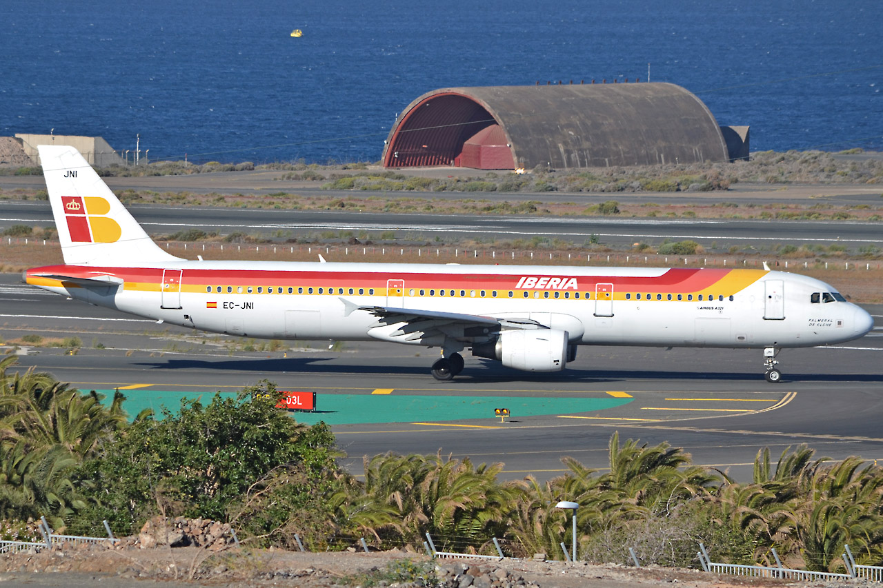 Spotting Canaries: Gran Canaria, La Palma & La Gomera Ec-jni_1280q2j82